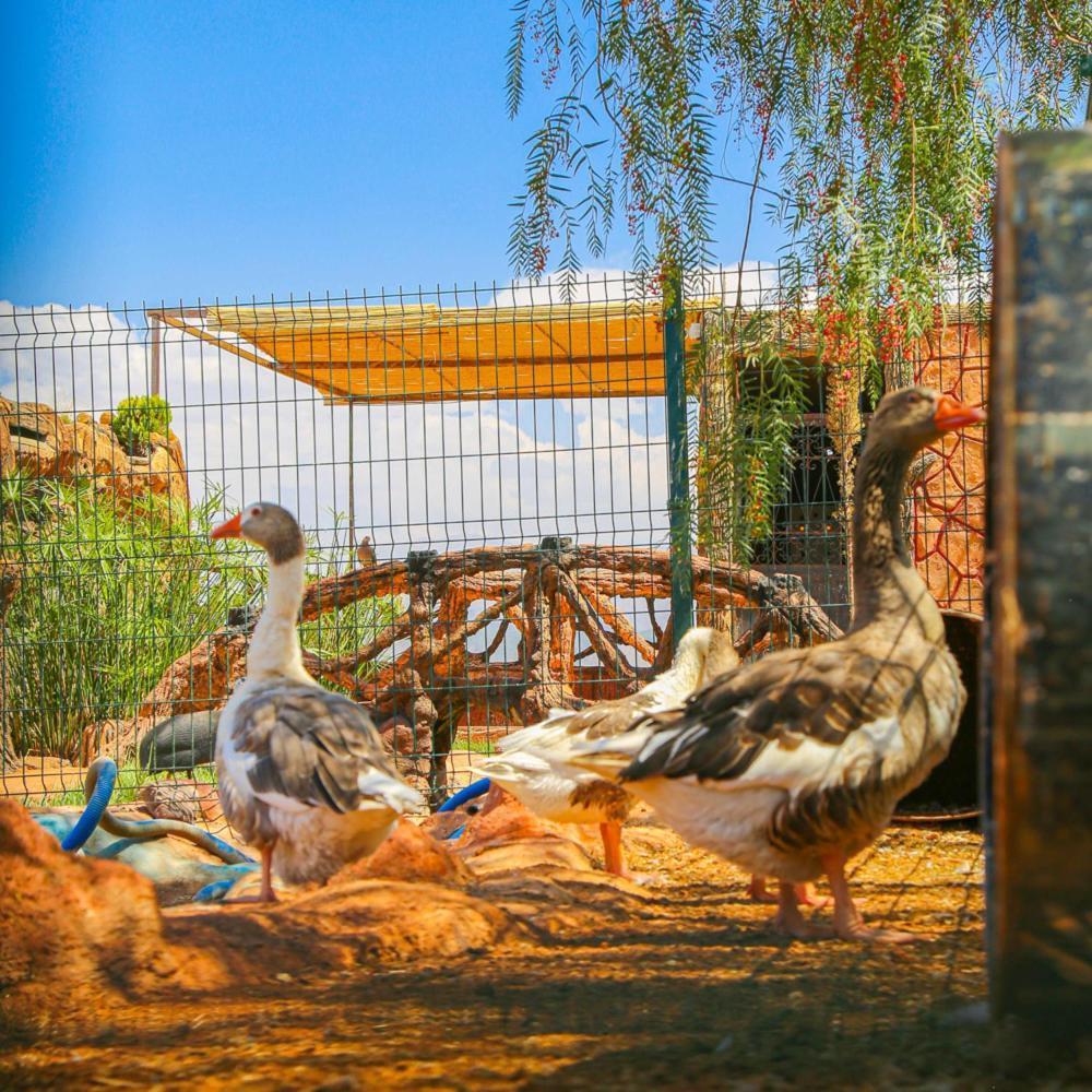 Hotel Jnane Riad Douar Akkara المظهر الخارجي الصورة